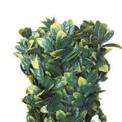 Bild von TENAX Divy 3D Plus Laurus künstliche Hecke 1x3m Blätter Laurus Mesh Gartenzaun